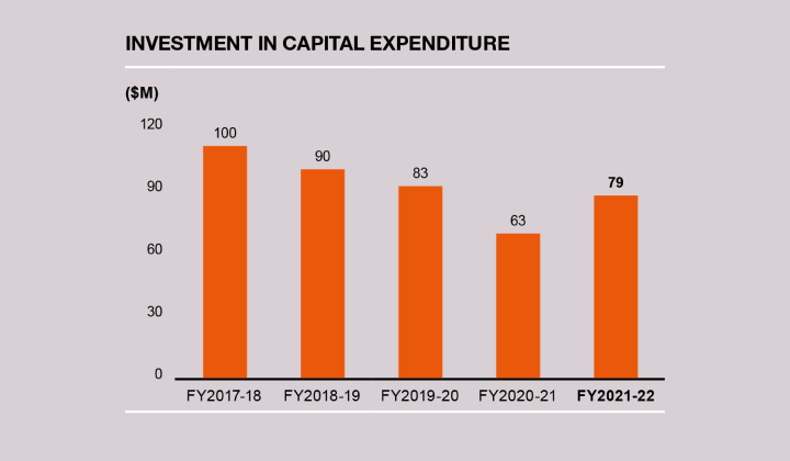 Invest in capital expenditure chart
