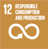 12 responsible consumption and production